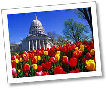 Photo of tulips blooming in front of the State Capitol in spring.