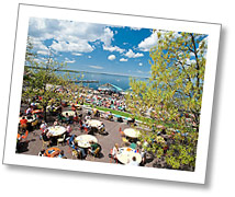 Photo of the Memorial Union Terrace in spring.