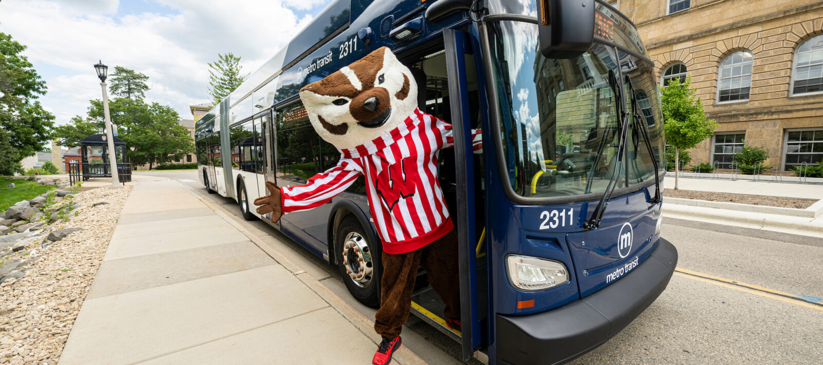 Bucky Badger on a Madison Metro electric bus, showcasing campus transportation options.