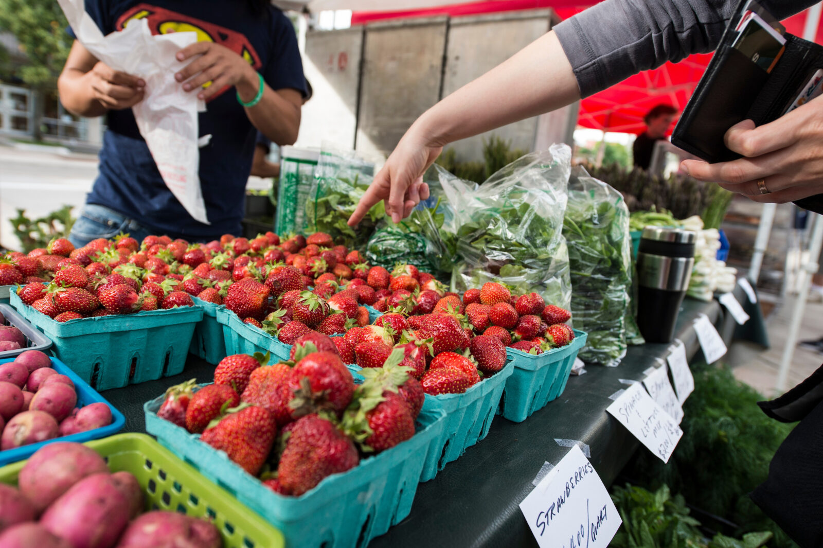 Pedestrians shop for fresh strawberries and other produce while walking around the Dane County Farmers' Market that circles the Wisconsin State Capitol in downtown Madison, WI.